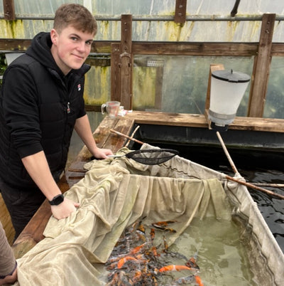 Get to Know Bradley,  His Favourite Koi Varieties, Top Tips and Family Connection To One Of The Most Famous Quotes In History