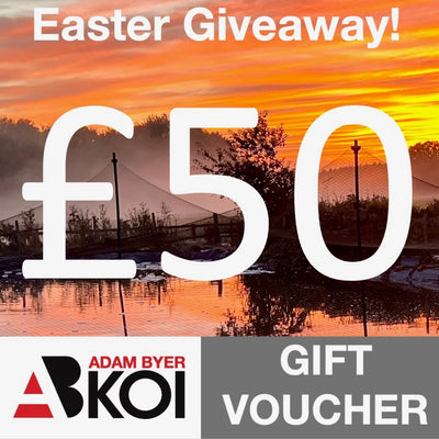 Easter Giveaway - £50 Gift Voucher Giveaway