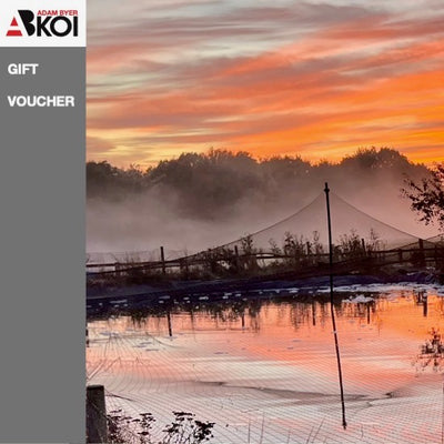 Adam Byer Koi Farm Gift Vouchers now available!