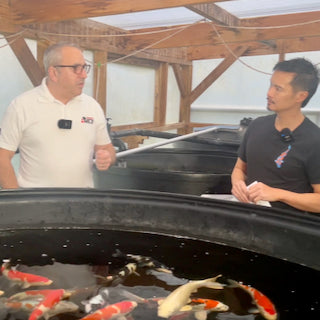 New Vlog Series!  Adam Byer Koi Farm Q&A Ep. 1 | Expert Tips from the UK's Leading Koi Breeder