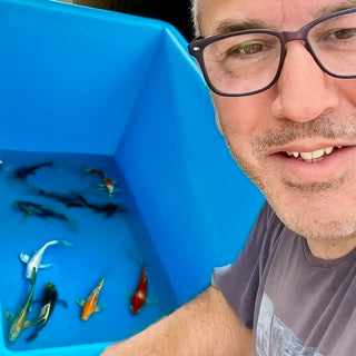 Mid-Season at Byer Koi Farm: Spawnings, Stock & Summer Plans