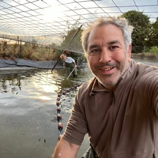 A week in the life of a koi farmer (wc 30_8)