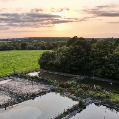 Fry pond preparations, and a walk around our growing on tanks this Friday evening