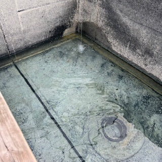 A week in the life of a koi farmer (wc 15_7_24)