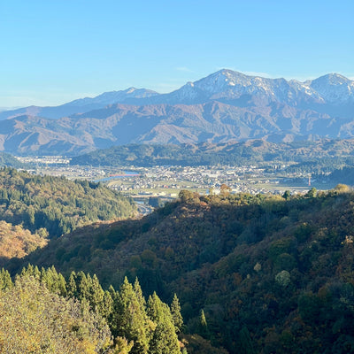 Day 3 - Japan Trip November 2025