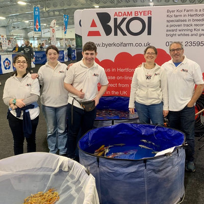 2023: A Splash of Success in Koi-verse – Unveiling New Varieties, Products, and Events!