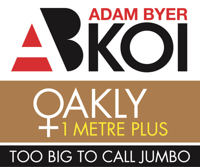 OAKLY - Too Big To Call Jumbo.  A new line of single colour koi at Byer Koi Farm