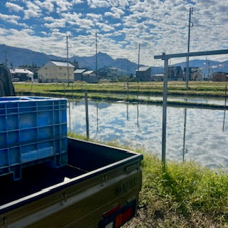 Day 5 - Japan Trip November 2025